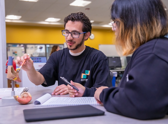 Students work together in a anatomy lab.