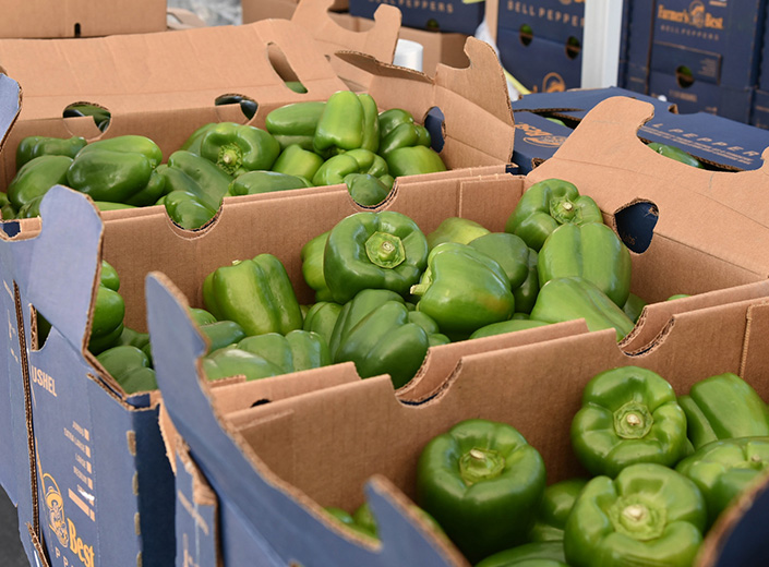 veggies in a box